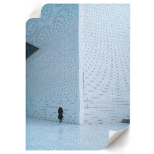 Poszter kép A lány és a madár