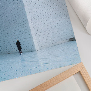 Poszter kép A lány és a madár