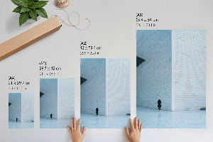 Poszter kép A lány és a madár