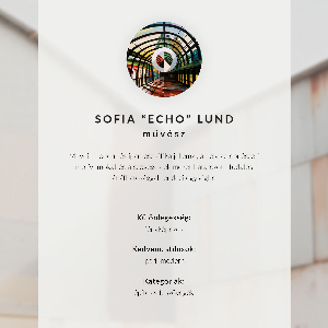 Vintage poszter Repülőgép részletei