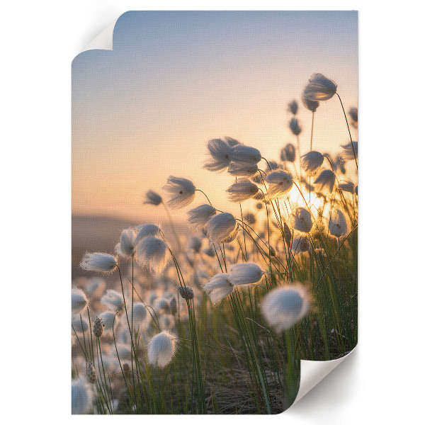 Retro plakát Retro autó