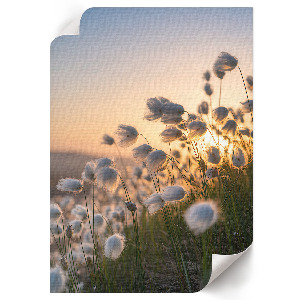 Retro plakát Retro autó