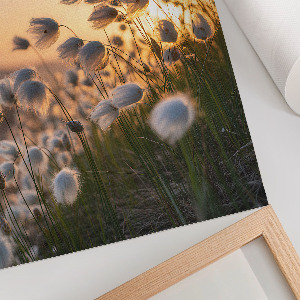 Retro plakát Retro autó