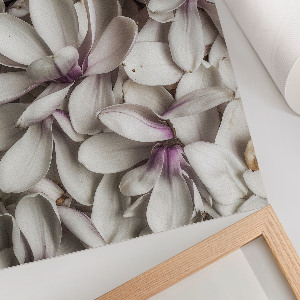 Poszter kép Fekete-fehér test