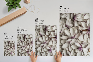 Poszter kép Fekete-fehér test