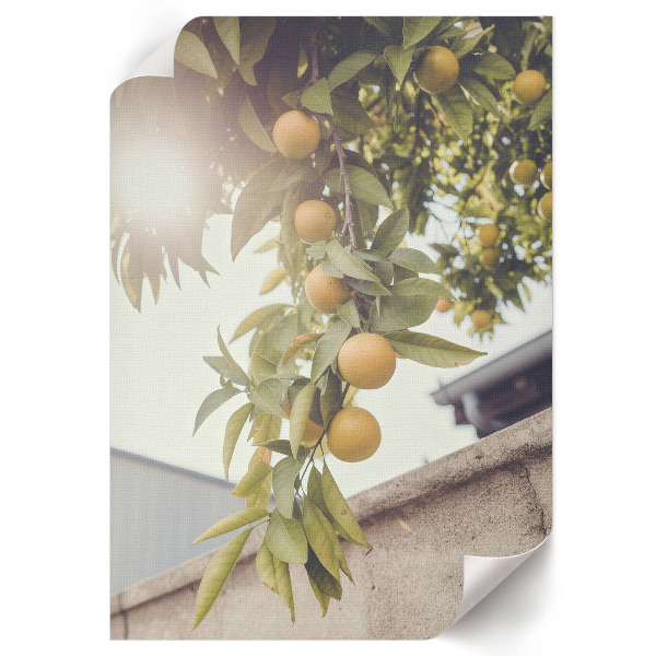 Poszter kép Modern város