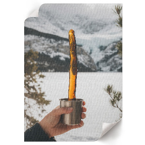 Retro poszter Őszi jávorszarvas