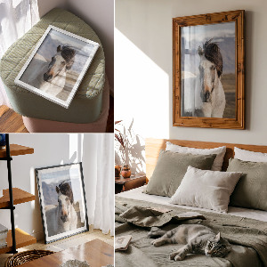 Retro poszter Farkas természet