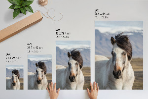 Retro poszter Farkas természet