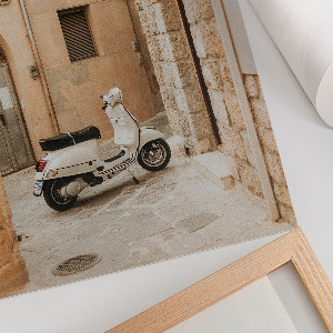 Retro poszter Egy madár az erdőben