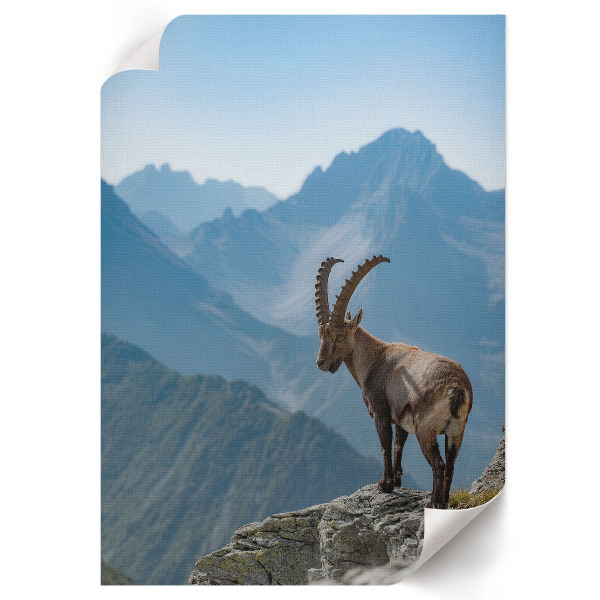 Vintage poszter Űrszikla