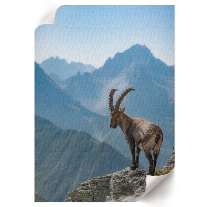 Vintage poszter Űrszikla