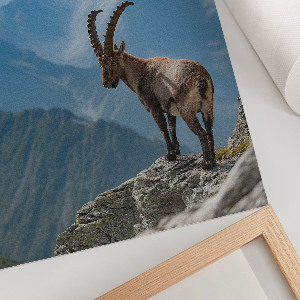 Vintage poszter Űrszikla