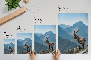 Vintage poszter Űrszikla