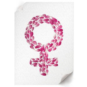 Retro poszter Elefánt részlet