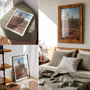 Poszter kép Ló elegancia