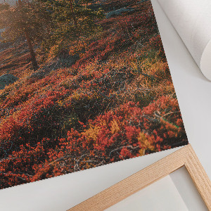 Poszter kép Ló elegancia