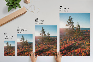 Poszter kép Ló elegancia