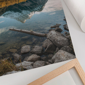 Retro poszter Elefántok együtt