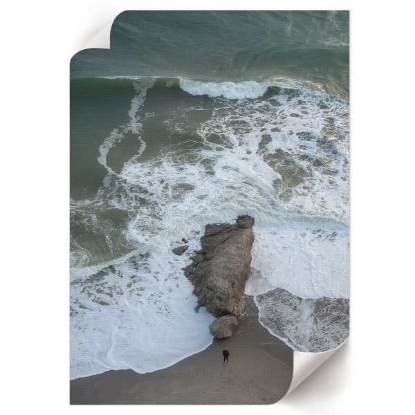 Poszter kép Fehér lovak