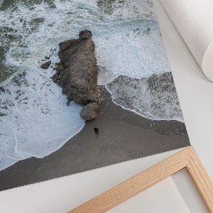 Poszter kép Fehér lovak