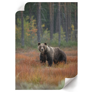 Poszter kép Téli város