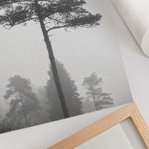 Vintage poszter Nyugati-tó