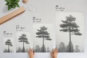 Vintage poszter Nyugati-tó