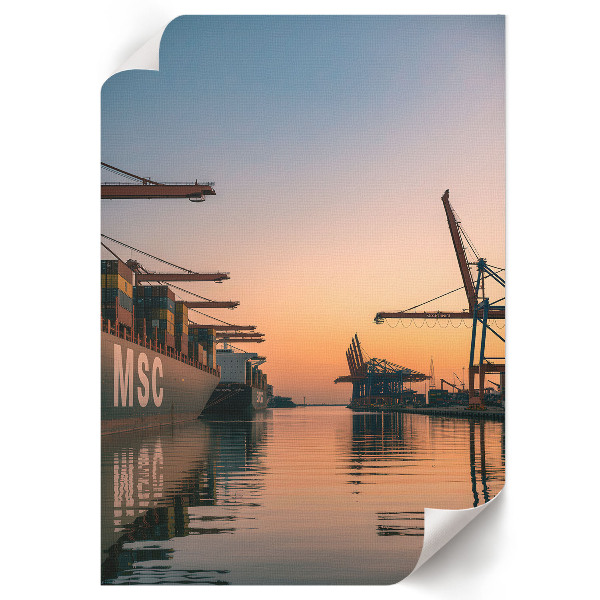 Vintage poszter Fenyőtükör