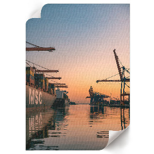 Vintage poszter Fenyőtükör