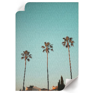 Retro poszter Varázslatos sarki fény