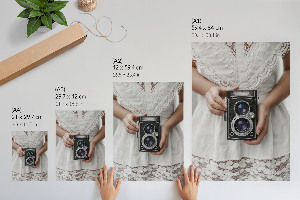 Poszter kép Madarak a vezetékeken