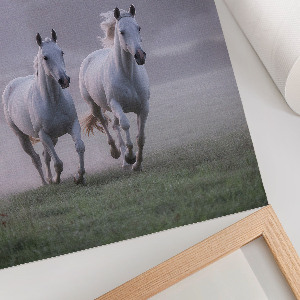 Poszter kép Városi Nyugat