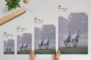 Poszter kép Városi Nyugat