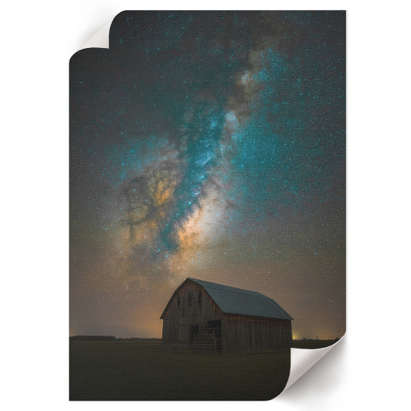 Retro poszter Repülő madarak