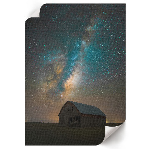 Retro poszter Repülő madarak