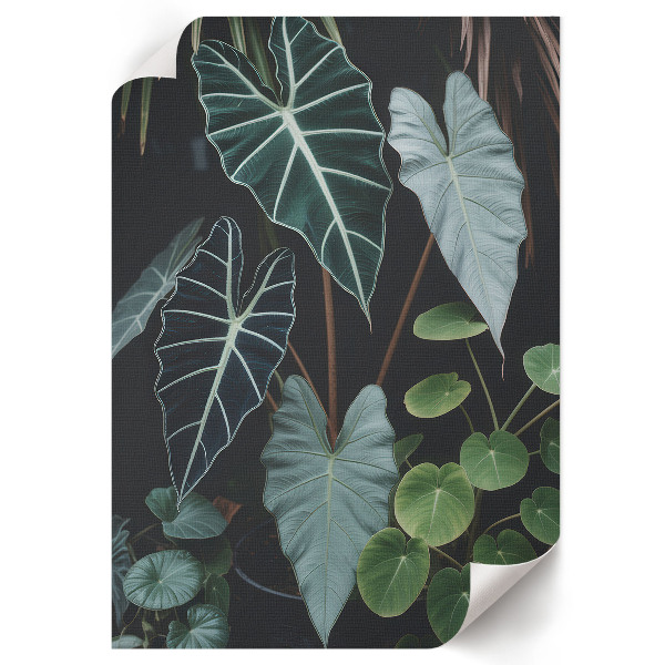 Retro plakát Alma ágakkal