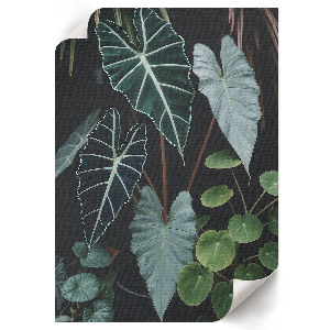 Retro plakát Alma ágakkal