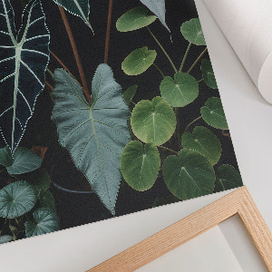 Retro plakát Alma ágakkal