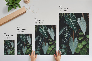 Retro plakát Alma ágakkal