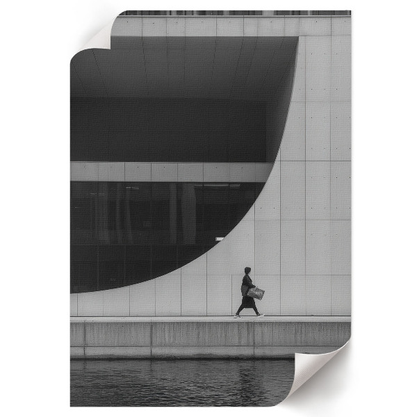 Retro poszter Rénszarvas természet