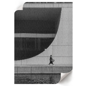 Retro poszter Rénszarvas természet