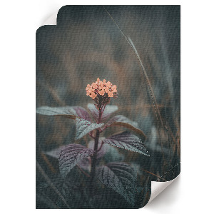 Vintage poszter Történelmi híd