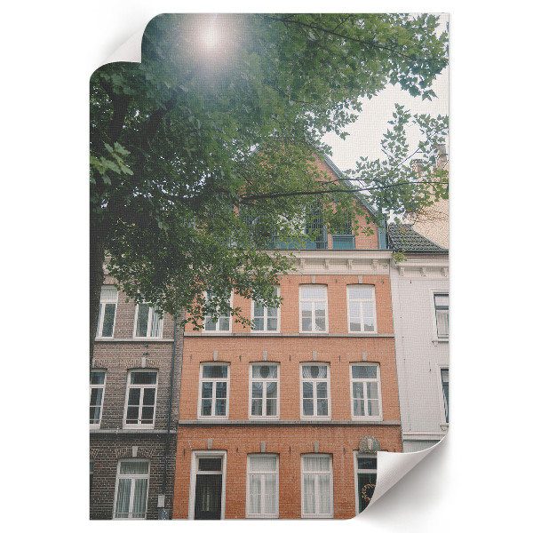 Retro plakát Szélmalom lovakkal