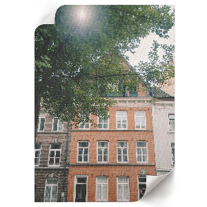 Retro plakát Szélmalom lovakkal