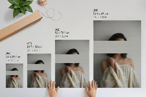 Retro poszter Bagoly repülés közben