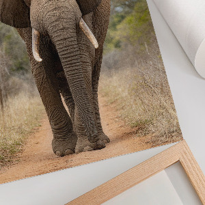 Poszter kép Szaxofonos