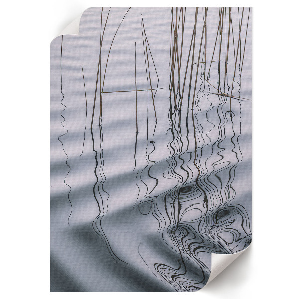 Vintage poszter Elegáns balett