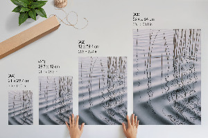 Vintage poszter Elegáns balett