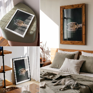 Poszter kép Hegyi táj